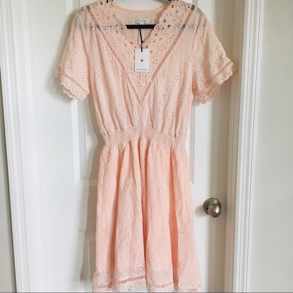 Stellah eyelet embroider cotton v neck short sleeve dress skirt line size small